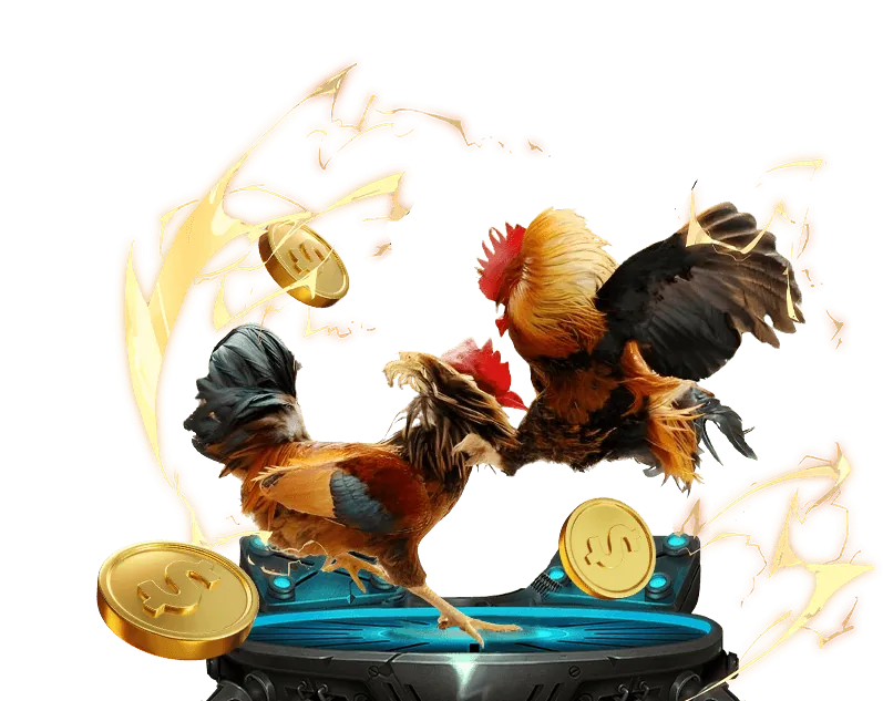 Ưu đãi hoàn trả và nạp lại Xin88